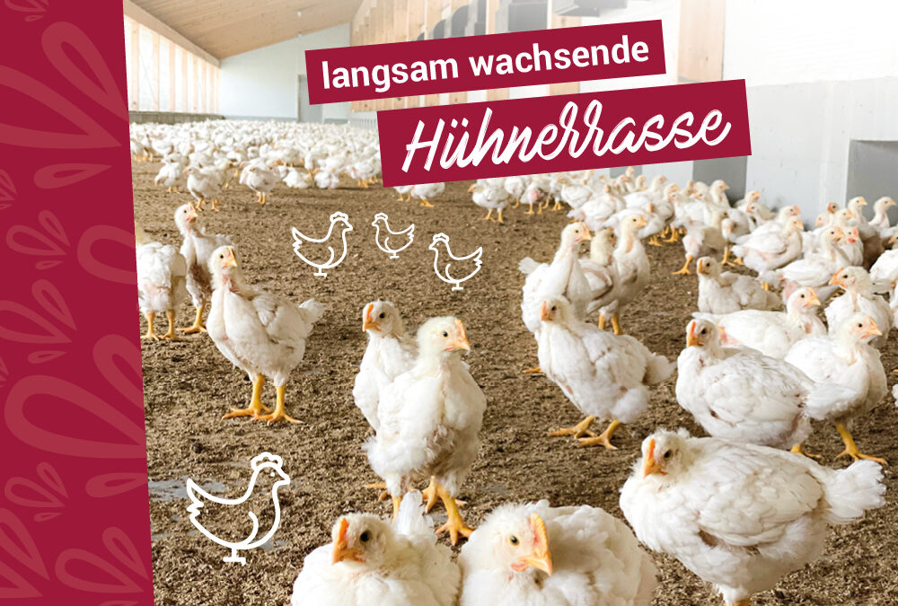 Mehr Luft, mehr Sonne und ein längeres Leben für unsere Tiere!